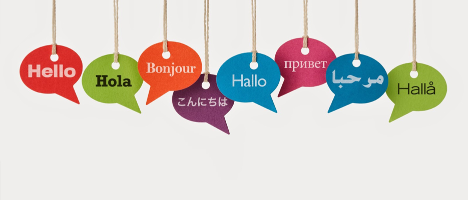 yeminli terc�man izmir certified translator